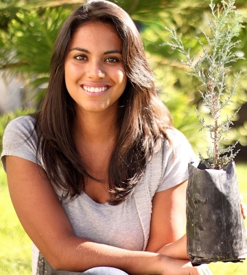 Responsabilidad Social